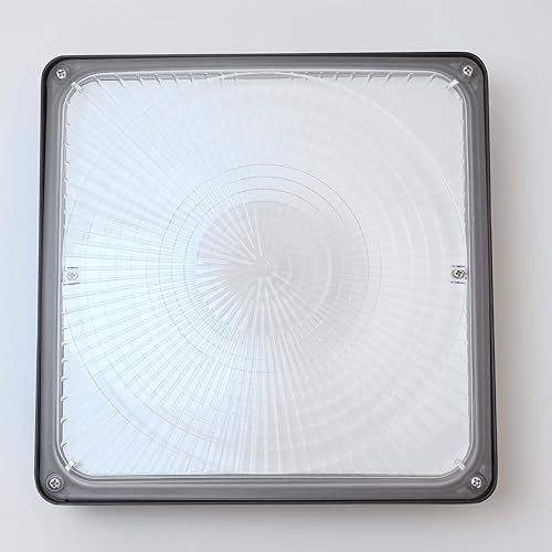 Miniatura 2 de Cinoton Luz LED de toldo de 40 W, 5600 lúmenes (reemplazo HID de 160 W), luz diurna impermeable de 5000 K para garaje, tienda, AC100-277 V,