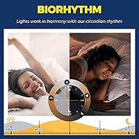 Vista 6 de Lightinginside Bombillas inteligentes E12 equivalente a 60 W, funciona con Alexa/Google Home/Smart Life, 500LM 6W RGBCW Candelabro LED Bulbos de luz