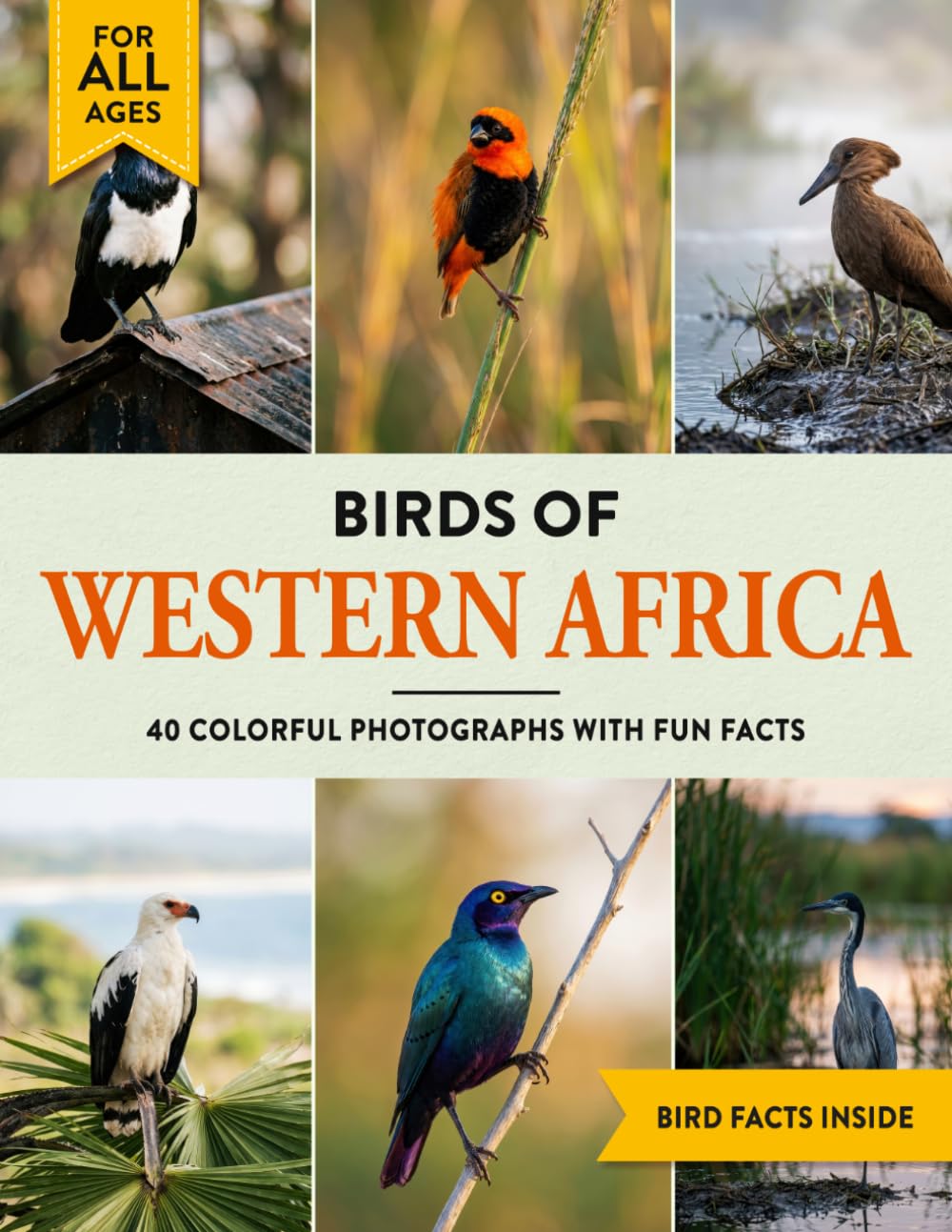 Birds of Western Africa: A Birdwatching Picture Book with Fun Facts and Photography for Kids, Adults & Birders