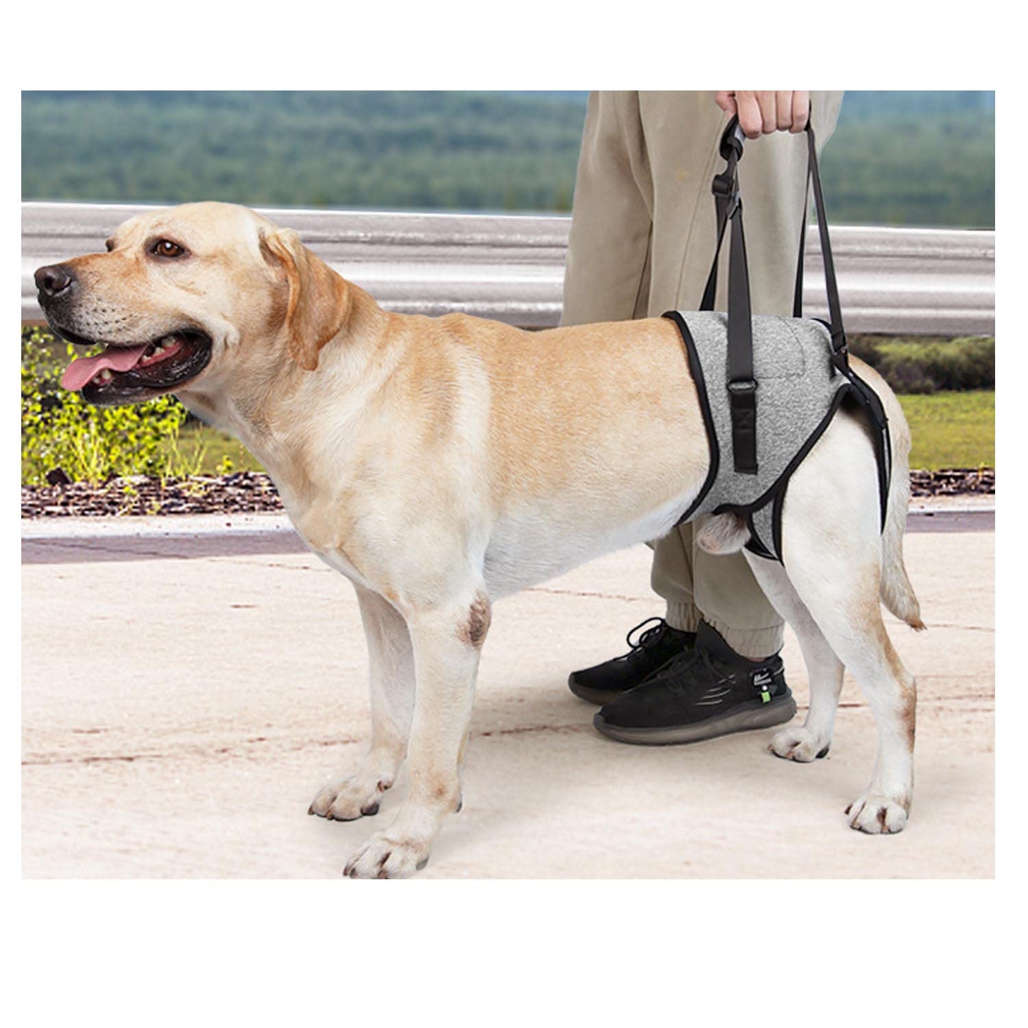 Amazon | 犬用介護ハーネス 犬 ハーネス 胴輪 大型犬用 散歩 大型 