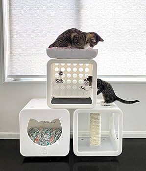 from cat st　10冊 11只猫系列 11 Cats Series (Set of 6) – My Story Treasury