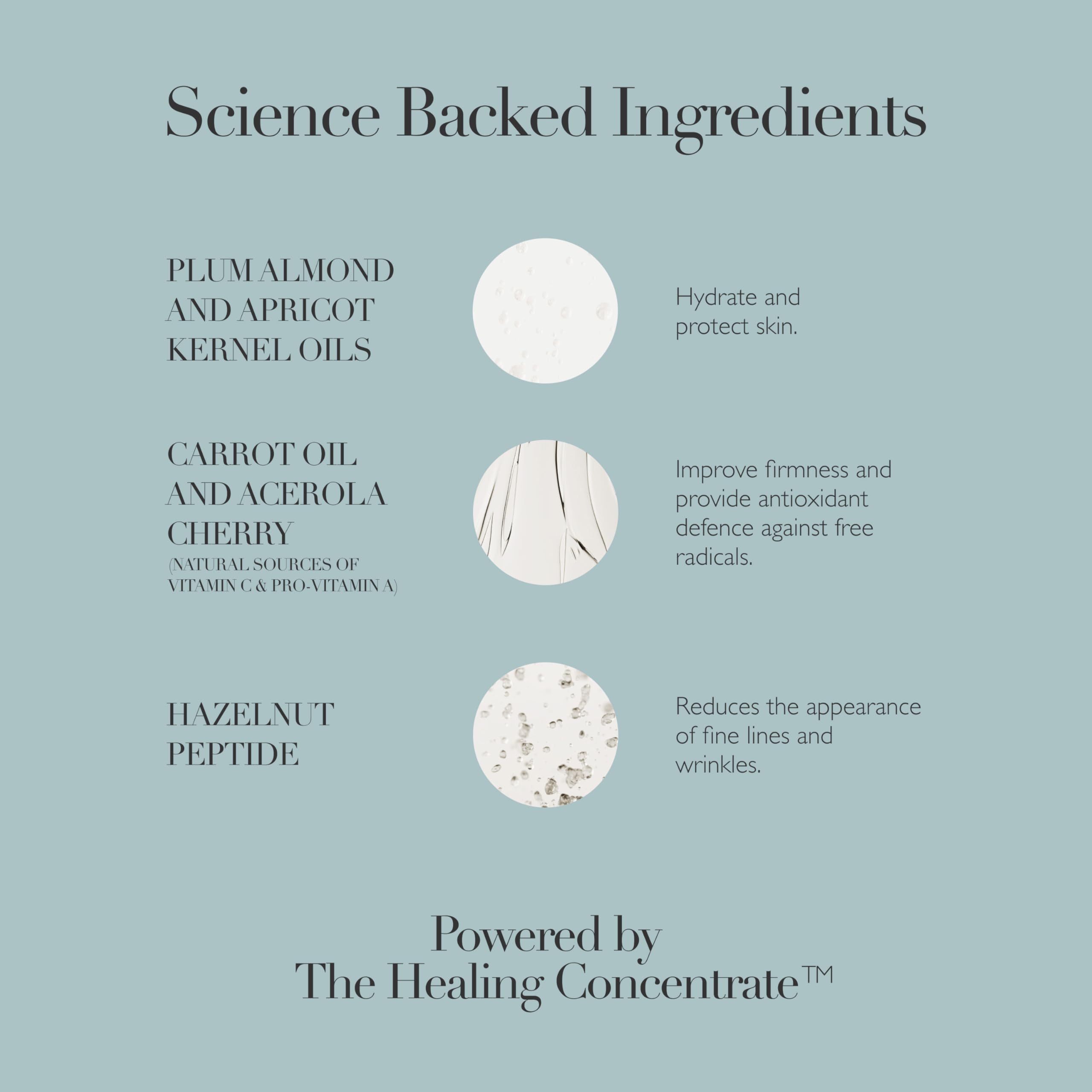 Omorovicza Rejuvenating Night Cream (1.7 oz), Restorative Night Moisturizer for Face, with Hazelnut Peptide and Plum Almond Oil, Overnight Face Mask to Plump, Nourish & Smooth Fine Lines