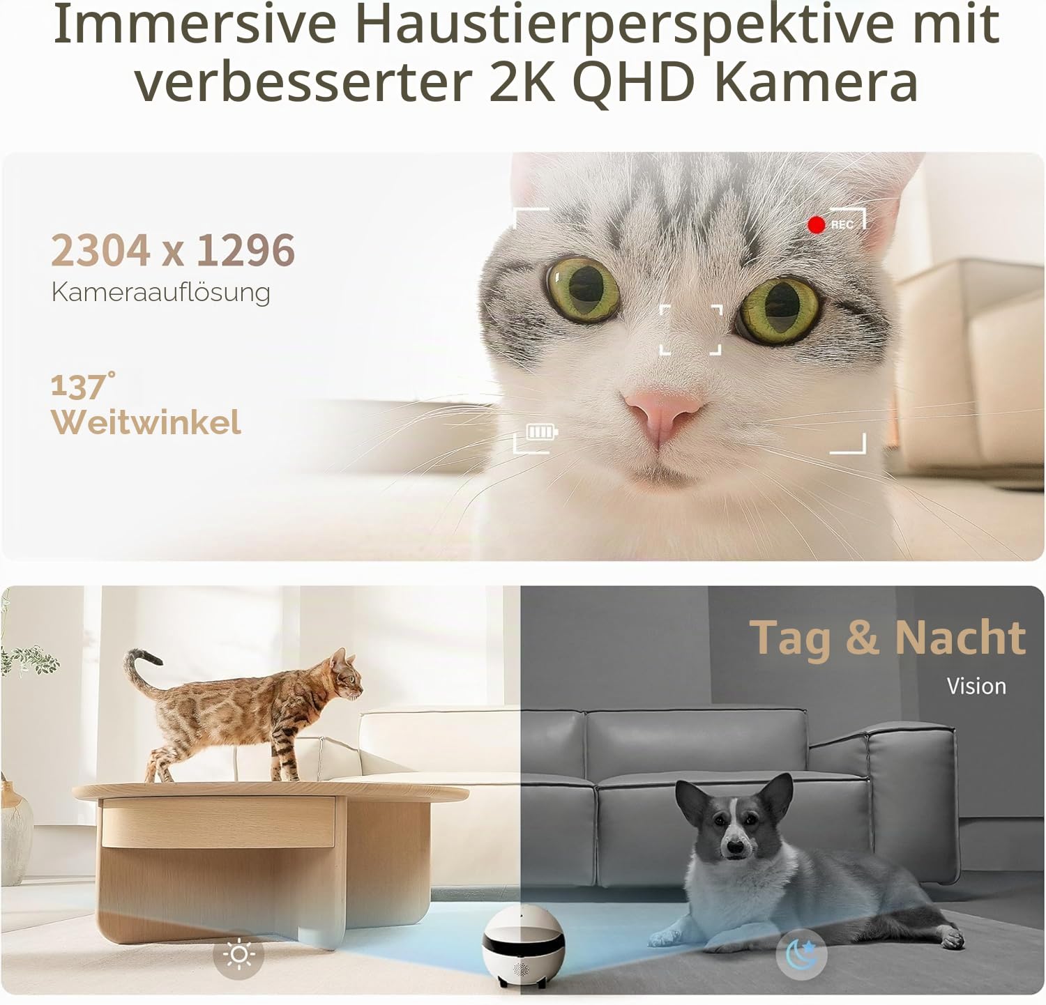 Enabot ROLA Mini Funny Pet Companion Robot, 2K Haustierkamera, Fahrbare Heimtierkamera mit One-Touch-Anruf & 2-Wege-Audio, Katzen Kamera mit IR-Nachtsicht & 5000 mAh Akku
