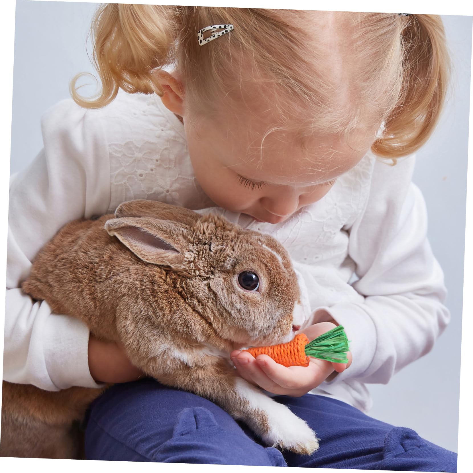 Sosoport 30pezzi Giocattoli Masticabili Per Piccoli Animali Da Carote Intrecciate Per Conigli e Criceti Giocattoli Comfortanti Per Roditori Perfetti Per Masticare e Igiene