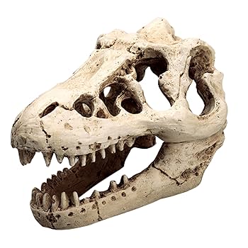 Amazon.co.jp: BEROZA 水槽 アクアリウム オブジェ 恐竜 化石 骨