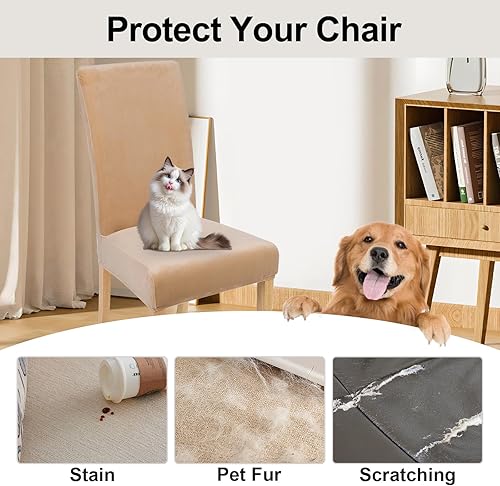 Miniatura 7 de smiry - Fundas para sillas de comedor de terciopelo elástico y suave, extraíbles, Terciopelo, Beige