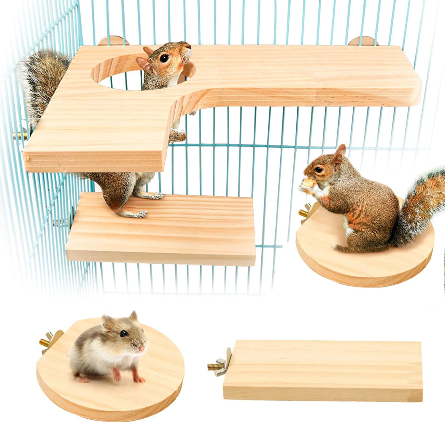 Lot de 5 Planches à Ressort pour Hamster Chinchilla Plate-Forme pour Écureuil Oiseau écureui Planeur de Sucre Planche de Support en Bois pour Petits Animaux(L)
