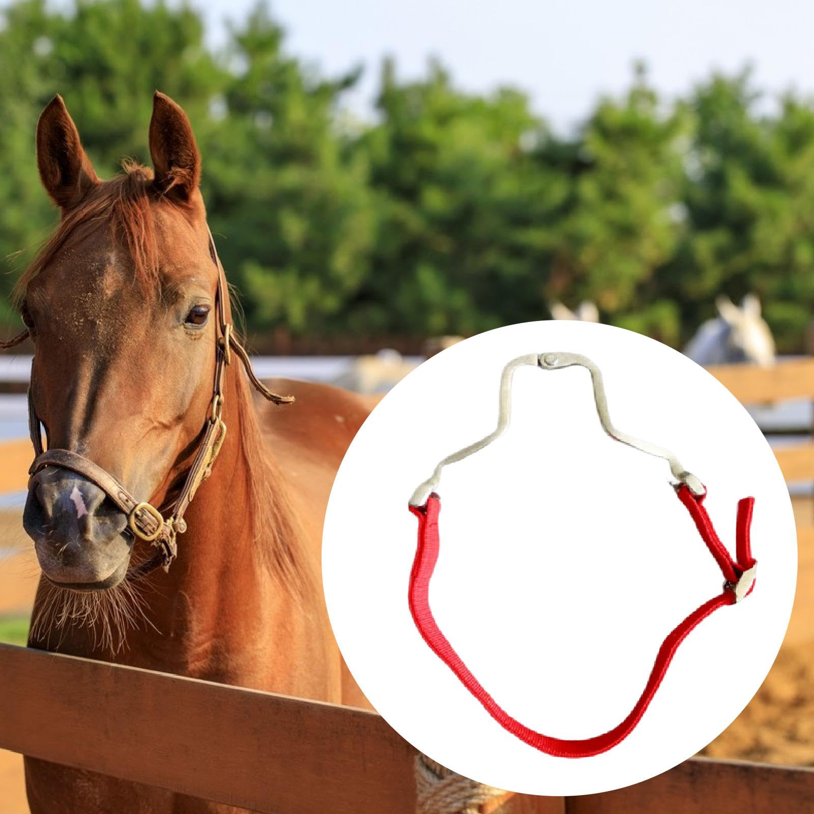 Pince à pour Chevaux - Outil de Soin des Chevaux - Alliage D'aluminium - Fournitures équestres - de Déglutition pour L'équita