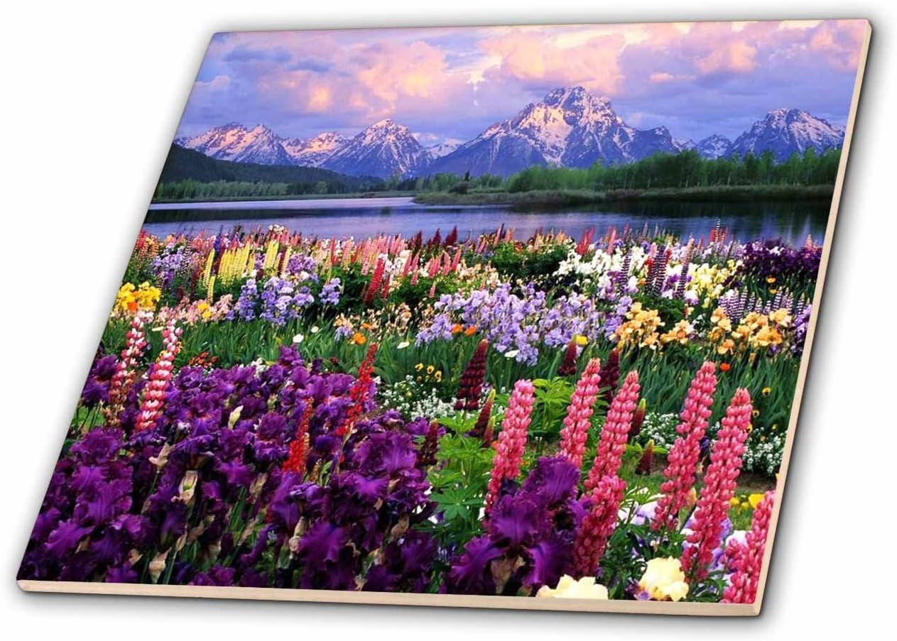 3dRose ct_53318_7 Wyoming Wildflowers Glass Tile, 8"