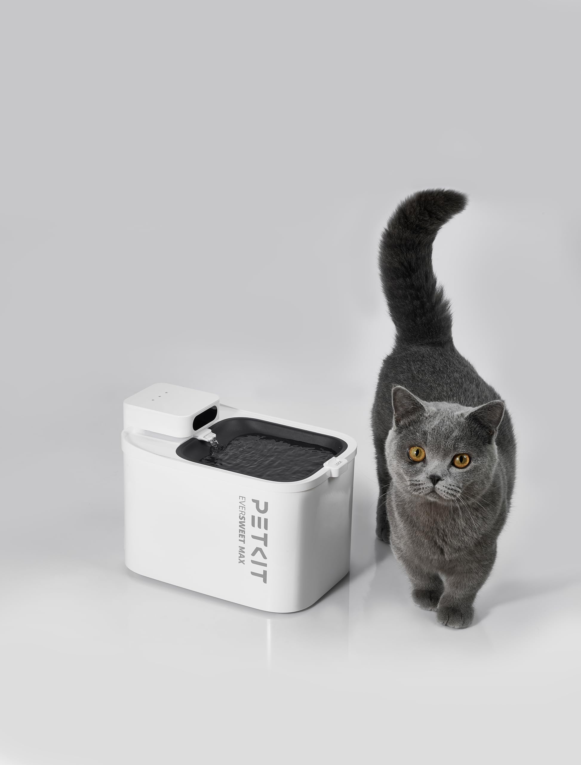 猫用 スマートペット用自動給水器 アプリ付き 2L大容量 水飲み器