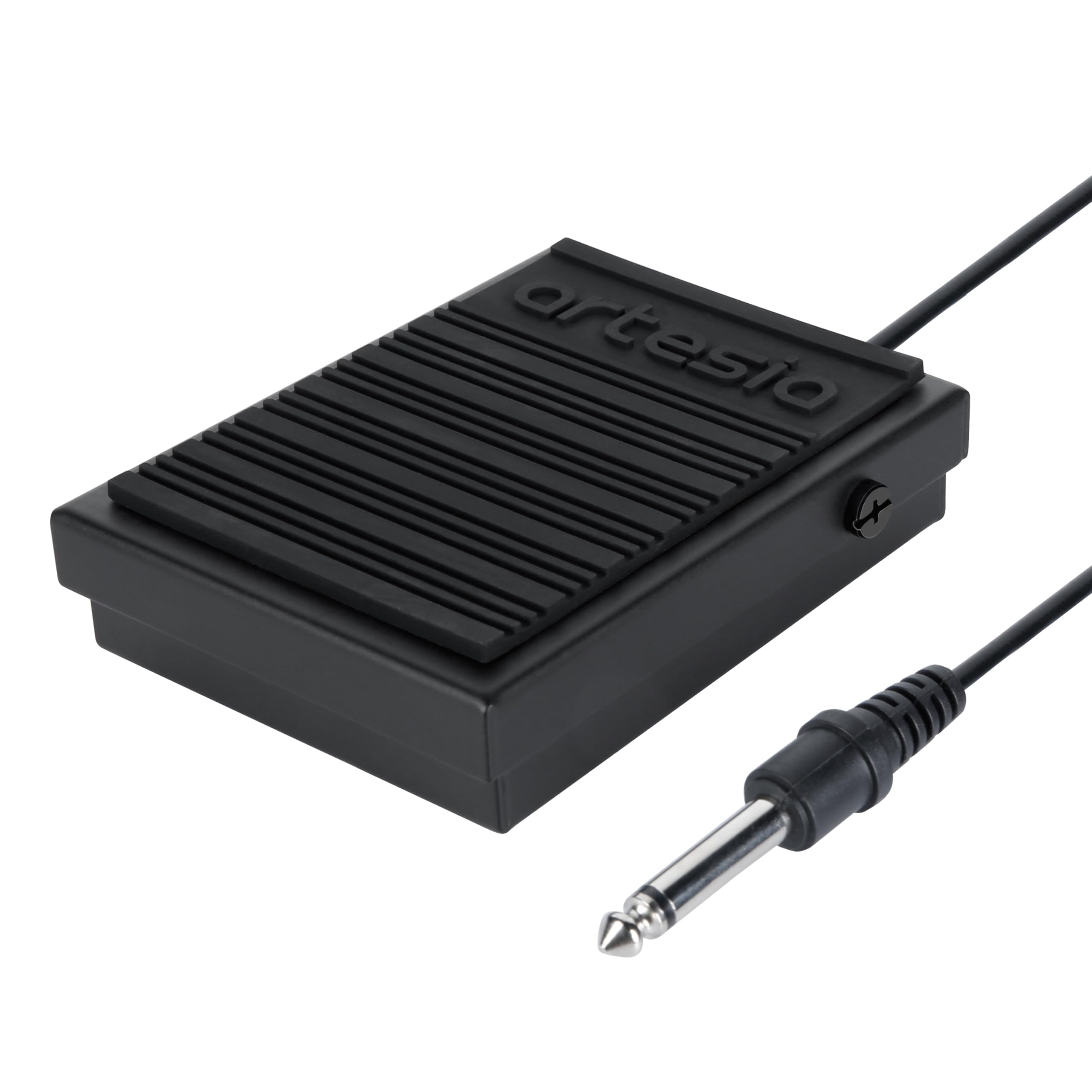 Amazon.com: Artesia ASP-1 Universal Sustain Pedal with 6 ft (1.8 m