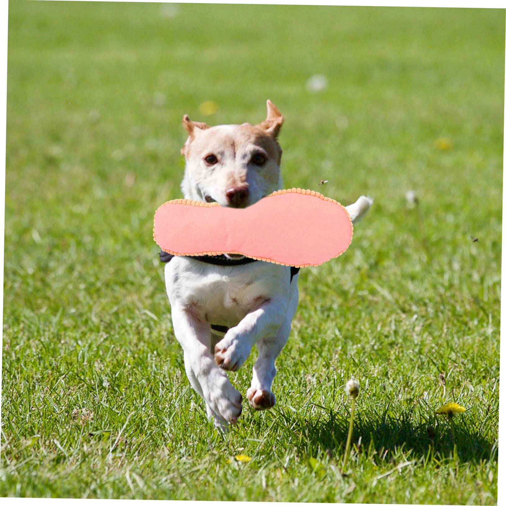 Housoutil 3piezas Juguete Interactivo para Perros Juguete De Masticación De Zapato para Entrenamiento De Muelas para Cachorros para