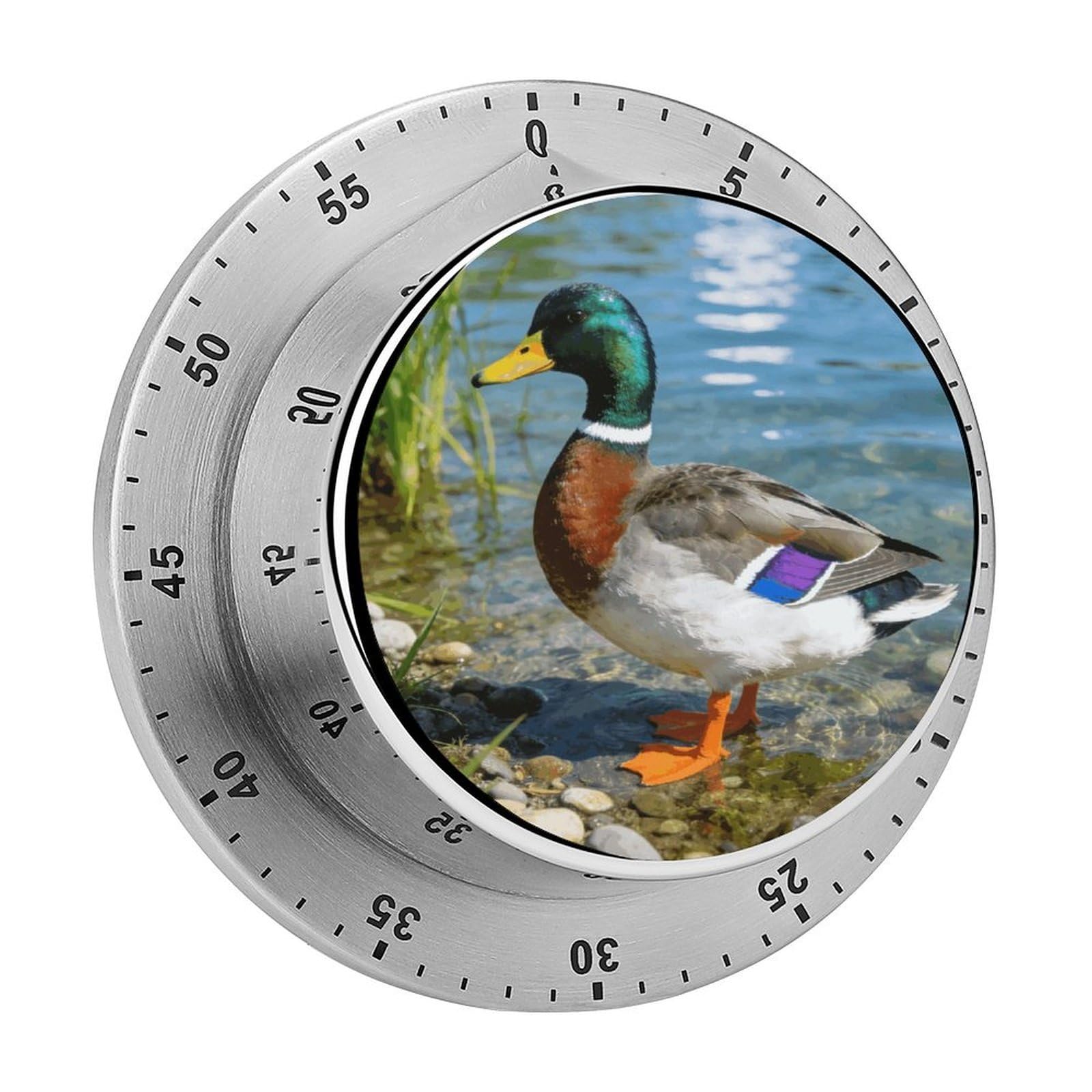 Mallard Duck Mechanical Kitchen Timer, Magnetic Stainless Steel Countdown Timer, Loud Alarm Cooking Timer for Baking, Cooking, Fitness, Classroom, No Battery Needed