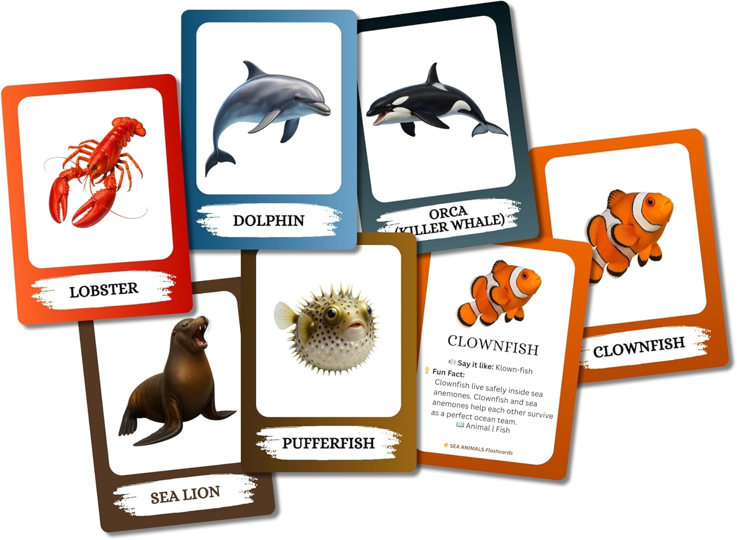 Sea Animals Flashcards – Non-Tearable Synthetic Learning Cards for Toddlers, Preschool & Kindergarten, Double-Sided Set