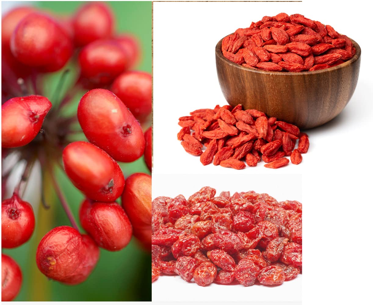 Organic Natural Pure Goji Berry Tea Bag- 50 Tea Bags (Biodegradable PLA Tea Bag Filters) - Image 3