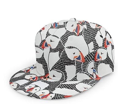 Oaieltj - Berretto da baseball unisex, regolabile, con visiera piatta e visiera  piatta : Amazon.it: Abbigliamento