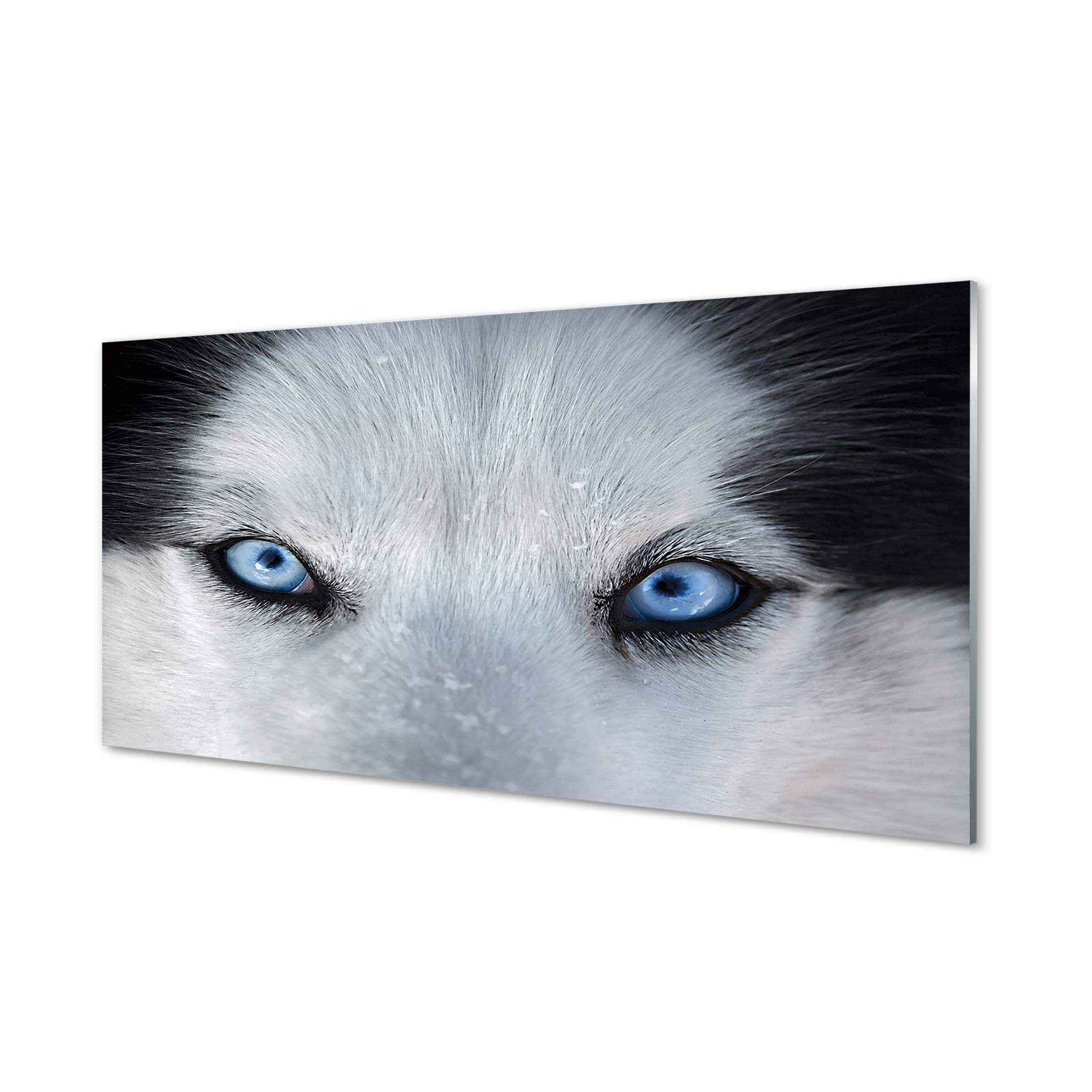 Tableau Chambre Image Animaux au design premium et finitions verre - 140x70cm