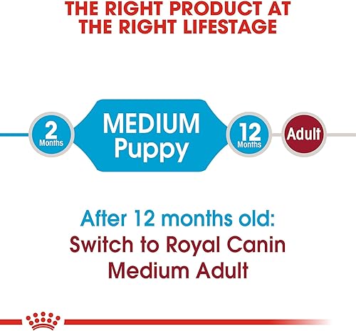 Miniatura 5 de Royal Canin Size Health Nutrition Medium Puppy Dry Dog Food