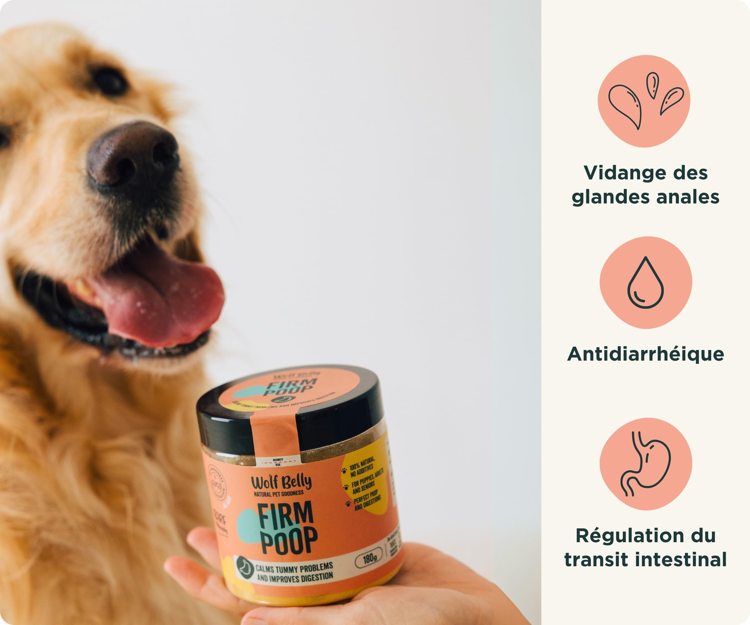 Wolf Belly - Pack Digestif pour Chiens | Complément Digestif en Poudre + Friandises aux Probiotiques | Réduit la Diarrhée | Améliore la Flore Intestinale - Fabriqué en Europe