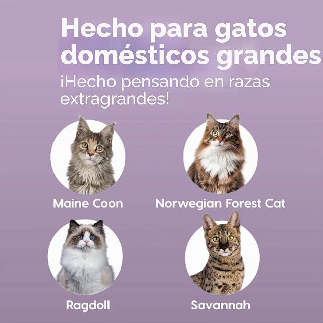 Foto 4 de 8 de Iris Ohyama, Bandeja de Arena Extra Grande para Gatos, Caja de Arena XL, Gris, Bandeja de Lados Altos