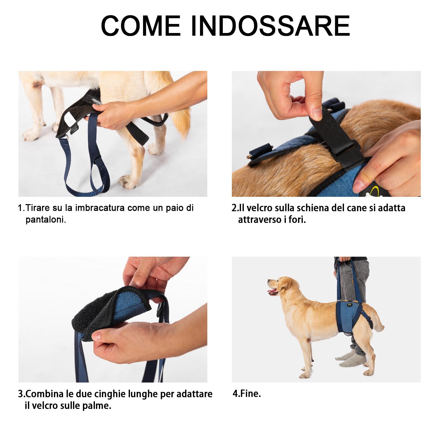 COODEO Pettorina per cani per cani, imbracatura per sollevamento cani per supporto per zampe posteriori, imbracatura per cani senior per gambe posteriori deboli dopo l'intervento chirurgico al(M)
