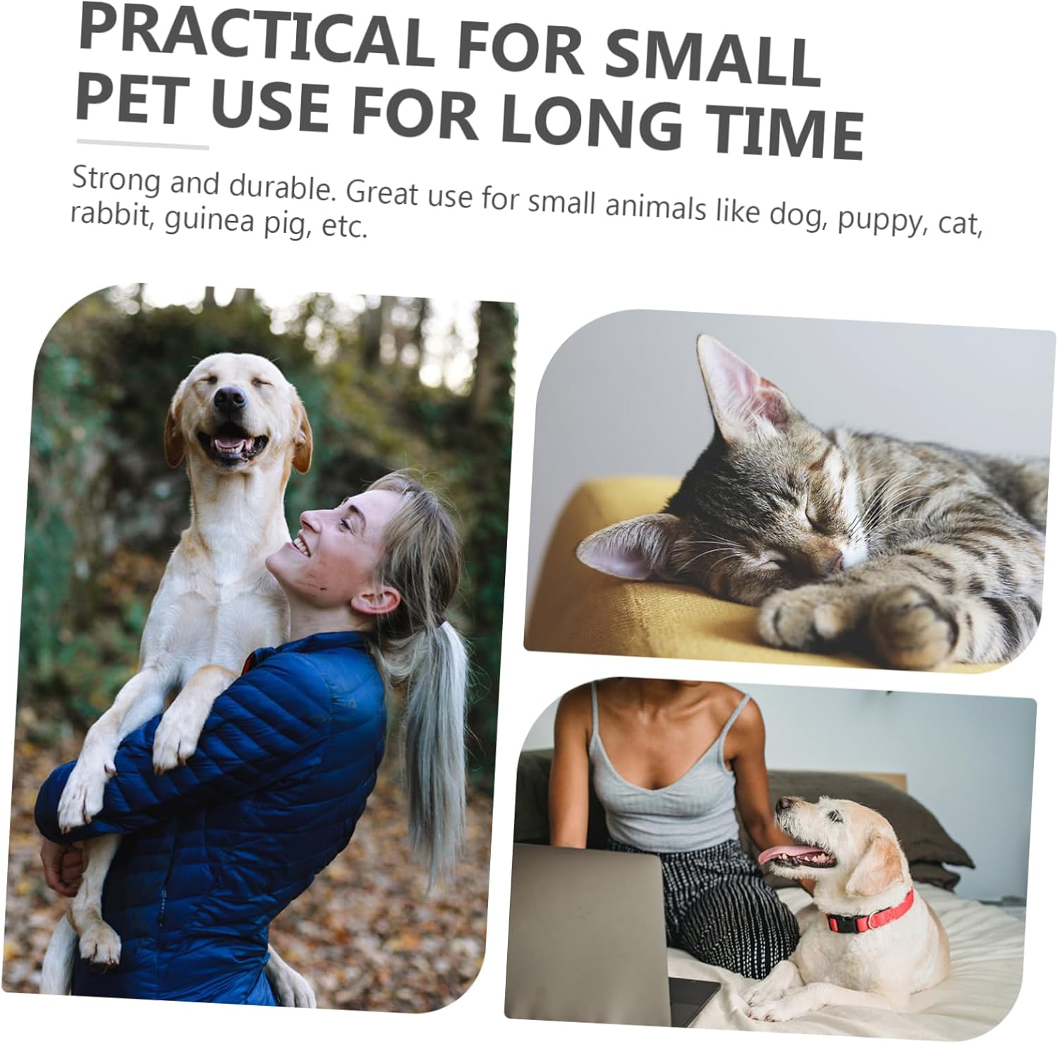 Toilet Puppy Potty Training Pee Pad Holder for Puppy Dogs Potty Tray Pet Supply