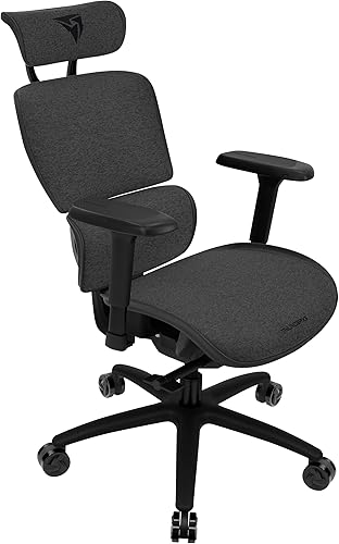 ThunderX3 XTC - Silla de oficina ergonómica para adultos, silla de juegos para adultos, silla de escritorio con respaldo alto, inclinación síncrona,