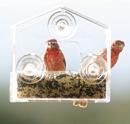 Miniatura 2 de Perky-Pet 345 Comedero transparente para pájaros con ventosas fuertes, capacidad de semilla de 12 lb