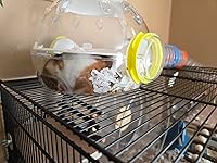 Review Image by Sarai Johnson Sarai Johnson