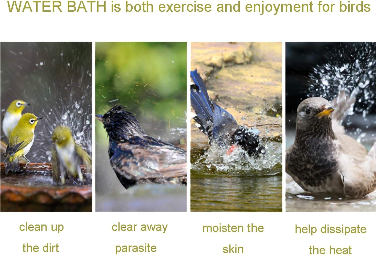 AYUBOOM Clear Bird Bath for Cage Bird Cage Accessories Hanging Bird Tub for Small Bird Cockatiel, Conure, Parakeet, Blue, by Ayuboom Blue : Pet Supplies