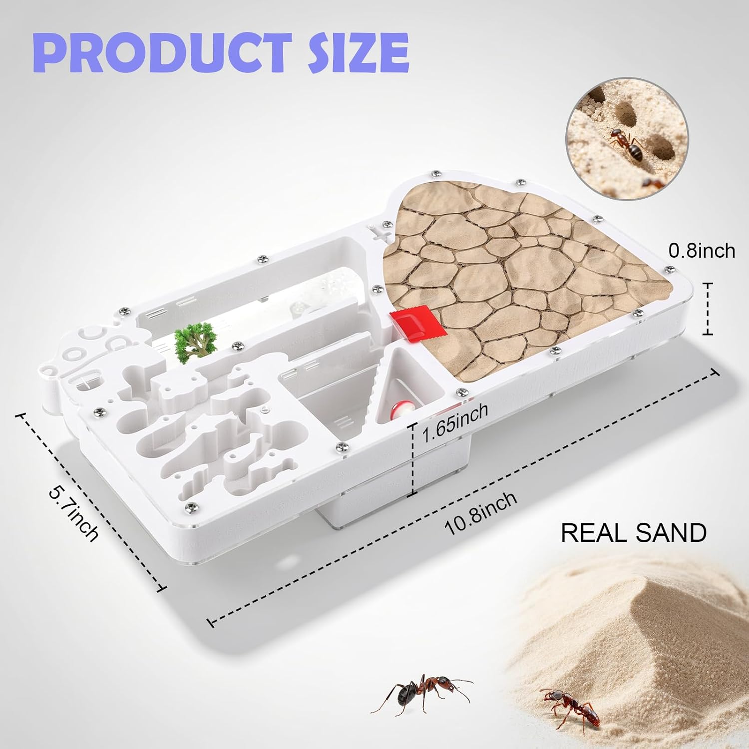Ant Farm Castle Habitat, Ant Colony Observation Kit image 2