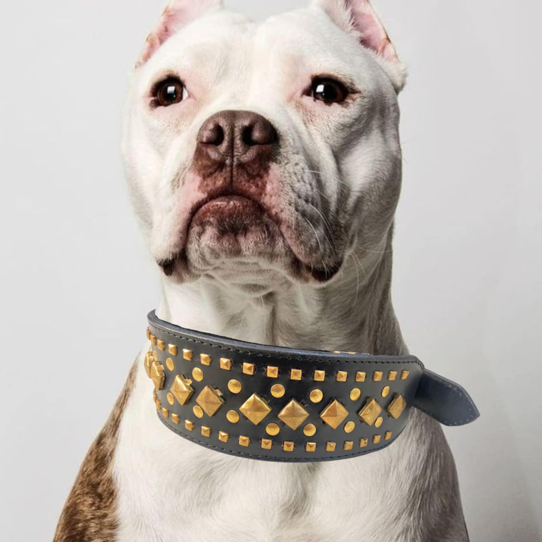 BohoBark Leather Pet Seat Belt Anti-bite Neck Strap Fierce Dog Bullet Rivet Collar Personalize Dog Accessories (B0CT5QM7XX) Amazon Price History, Amazon Price Tracker