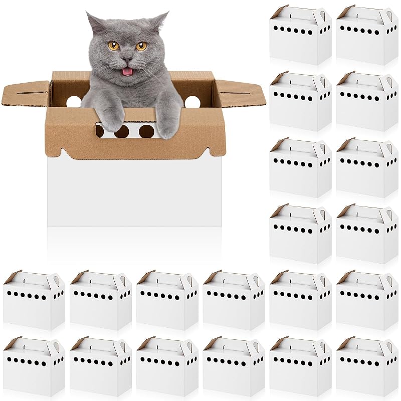 Transportadora de Papelão para Pequenos Animais com Alça e Ventilação Tenceur Branca 20 Unidades
