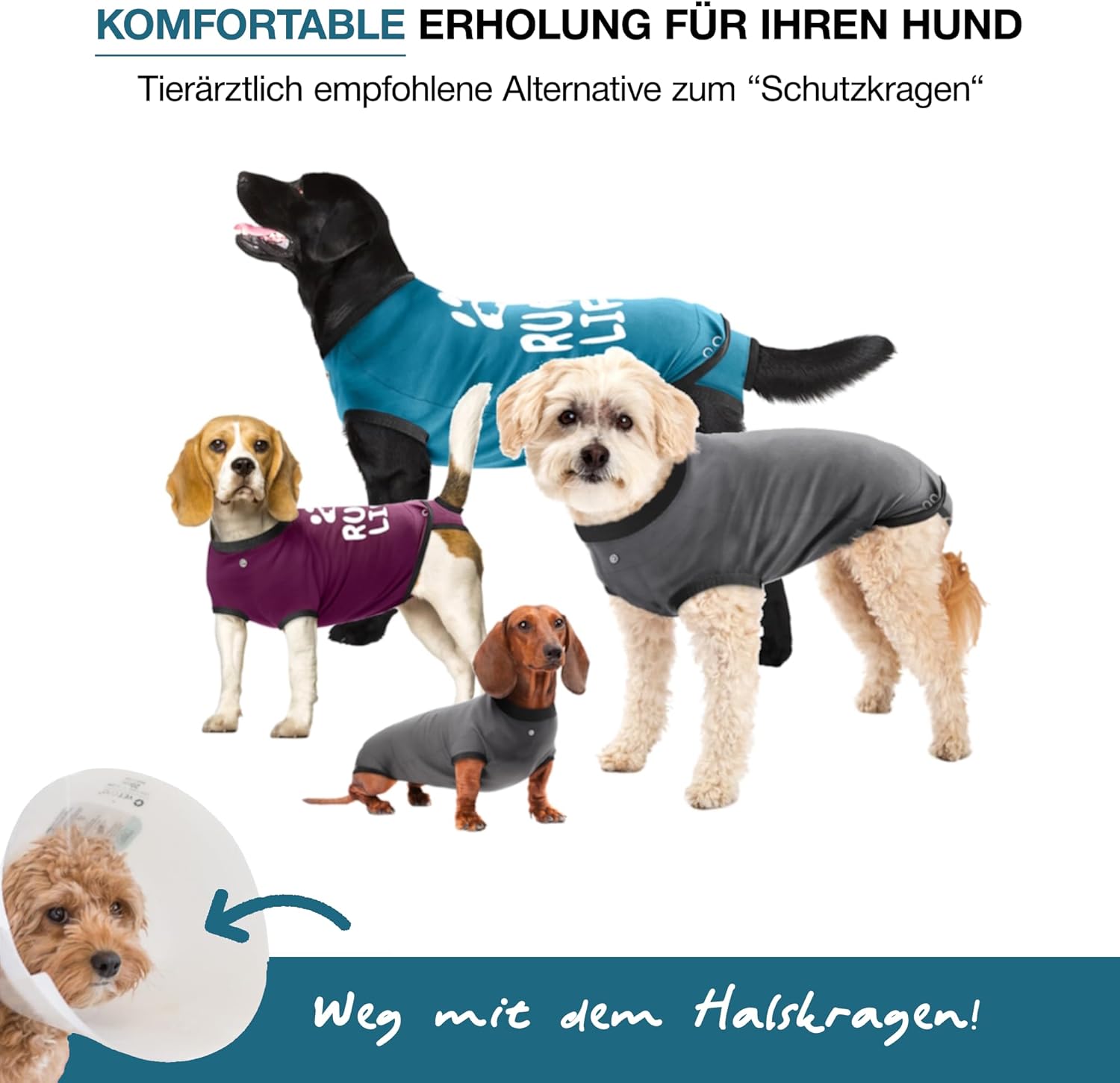BellyGuard Dog Surgery Recovery Suit, Dog Onesie for Post-Op Care, Recovery Apparel for Female and Male, Surgical Body Cover for Canine Healing Support