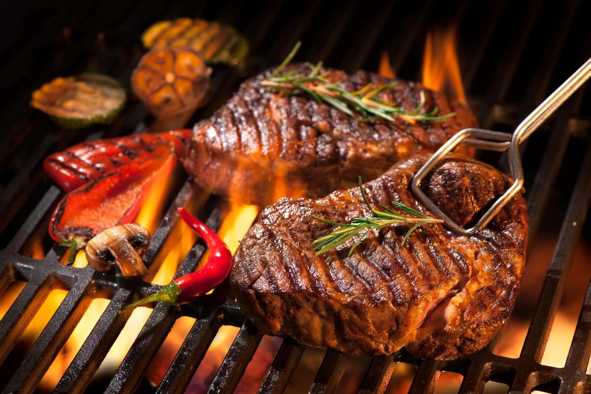 Herrselsam Grille de barbecue en fonte émaillée - 42 x 28 cm - Grille rectangulaire en fonte émaillée - Accessoire pour barbecue, barbecue à gaz, barbecue au charbon de bois et bien d'autres - Pour