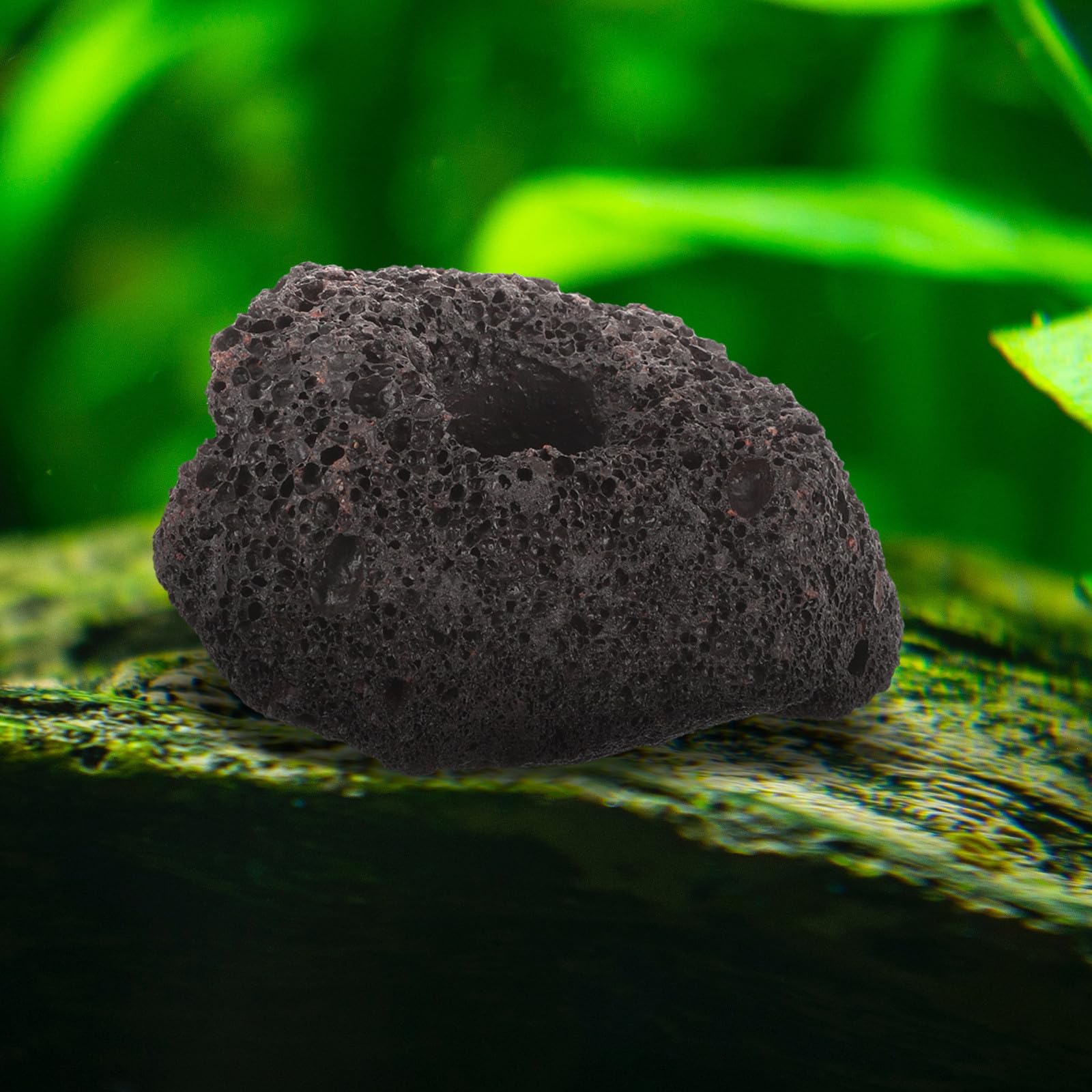 WOONEKY 10 Stück Lavastein Ringe aus Stein zur Befestigung von Wasserpflanzen im Aquarium mit Löchern zum Verstecken und Züchten von Garnelen und Kleinen Fischen