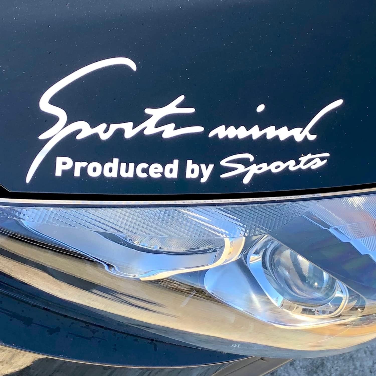 ｓｐｏｒｔｓ ｍｉｎｄ 車 バイク ステッカー デカール シール 汎用 サイド ドレスアップ スポーツマインド Sports Mind 全