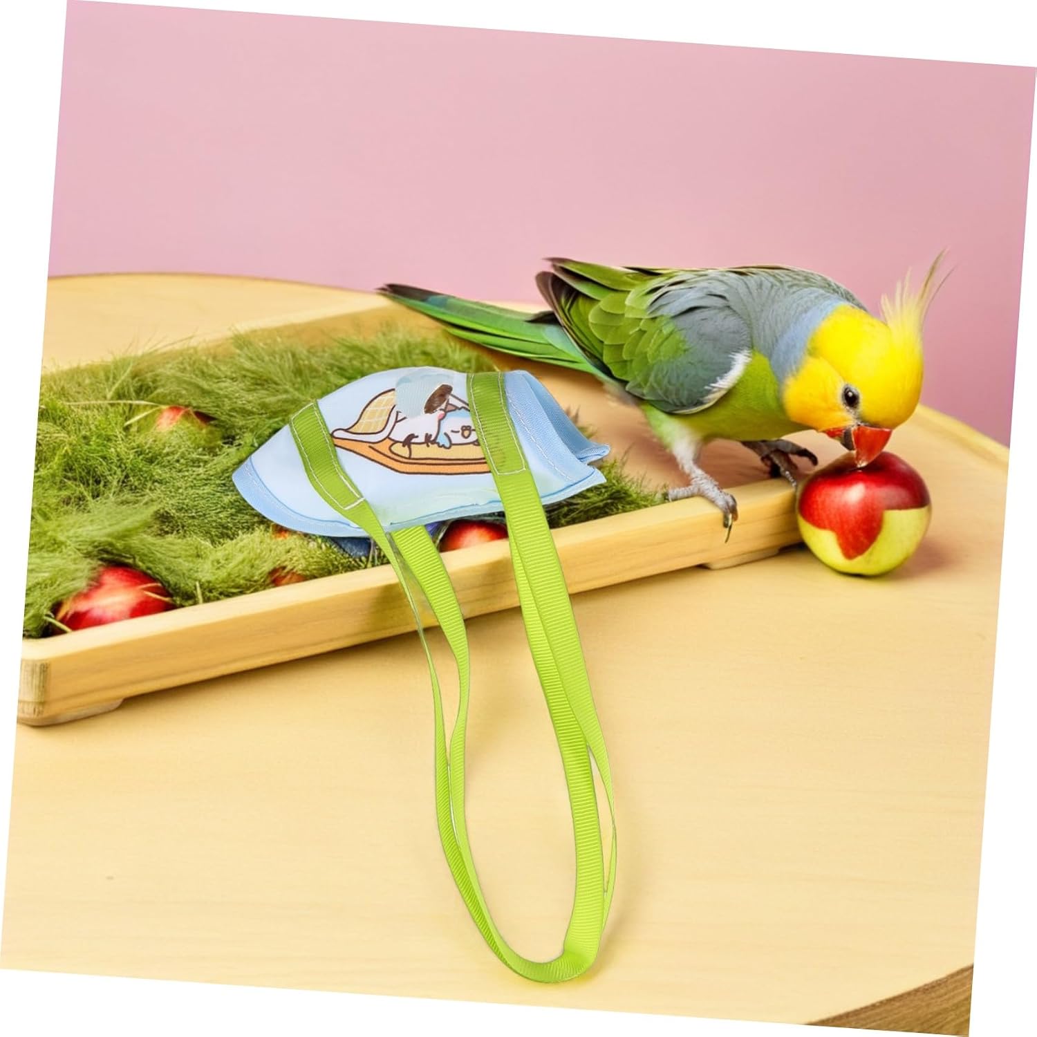 Kisangel 2pcs Escape-Proof Bird Carrier Bag for Small and Medium Birds, Ergonomic Fabric Parrot Travel Harness for Outdoor Trips, Suitable for Green-cheeked Conure and Cockatiel