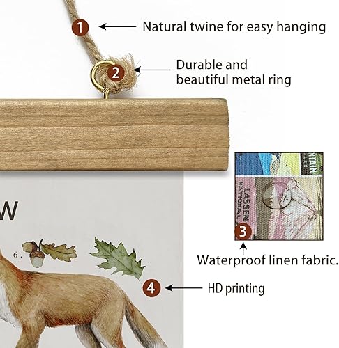 Miniatura 5 de XIAOAIKA British Hedgerow - Póster educativo de vida silvestre, cuadro ilustrado de naturaleza con marco de madera, arte de pared de animales y