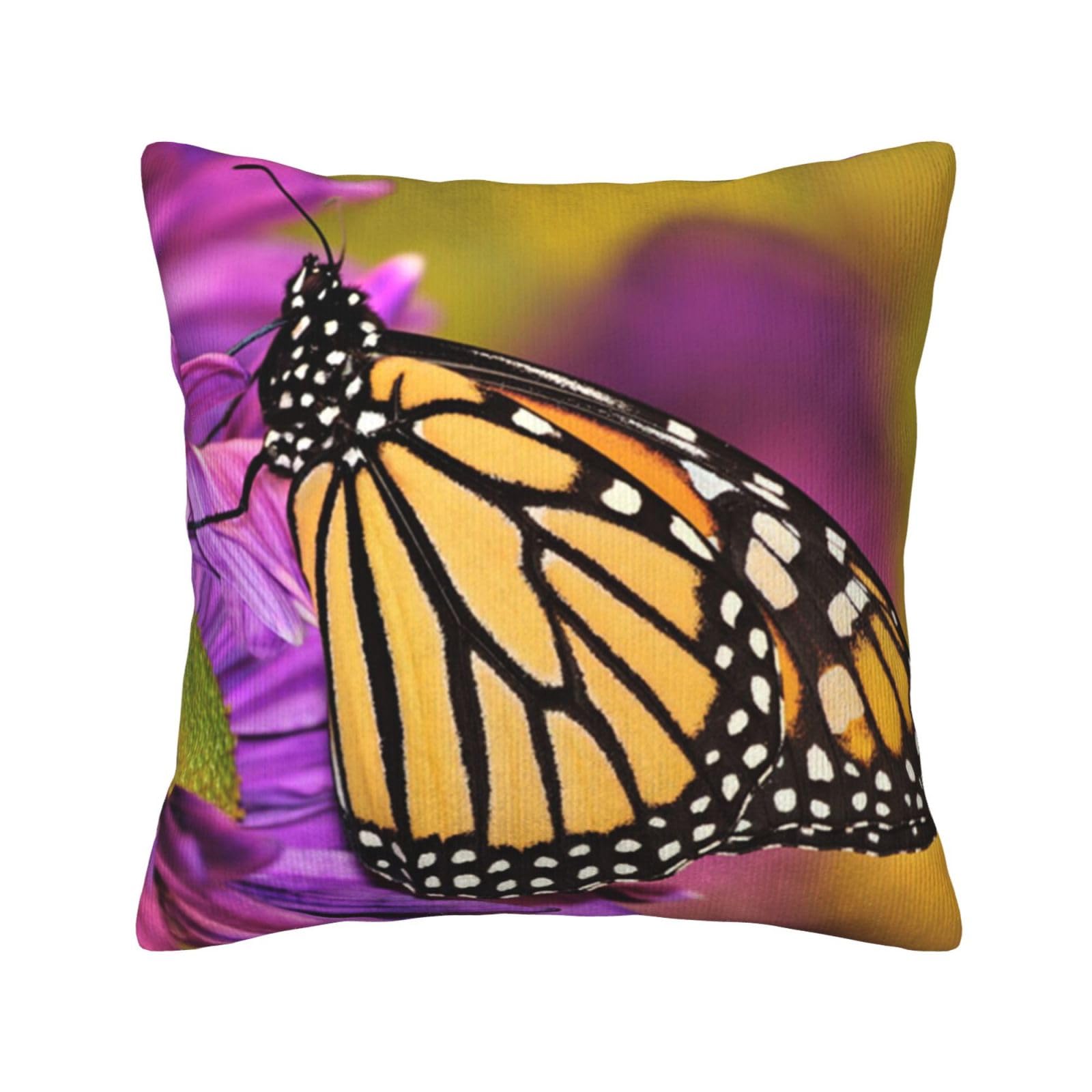 Housse de coussin velours côtelé papillon monarque 45x45cm