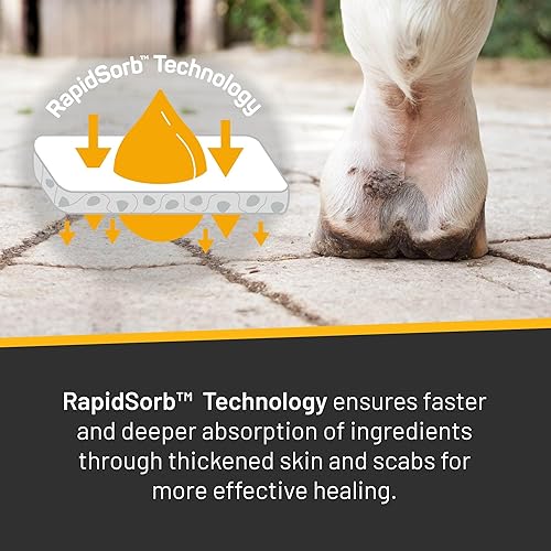 Vista 4 de Silver Honey Spray de alivio rápido de 6 onzas para caballos solamente, uso para arañazos equinos/dermatitis pastera/fiebre de barro/envenenamiento