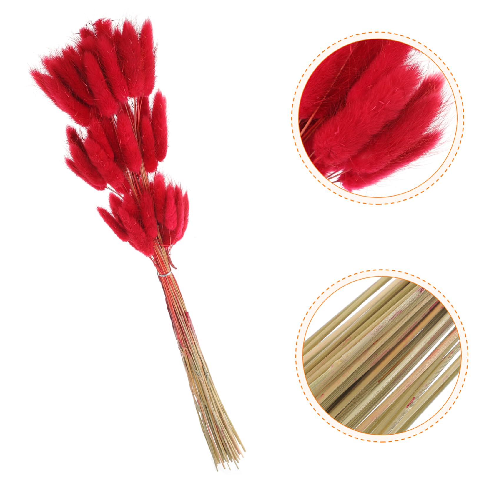Zerodeko 240piezas De De Conejo Secas para Decoración De Bodas y Arreglo Floral