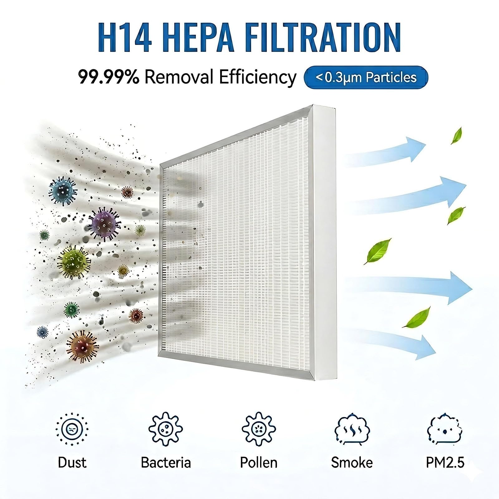 Banco Pulito a Flusso Laminare Verticale per Micologia, Filtrazione HEPA Professionale, Area in Alluminio per Coltura In Vitro e Ricerca di Laboratorio Senza Polvere