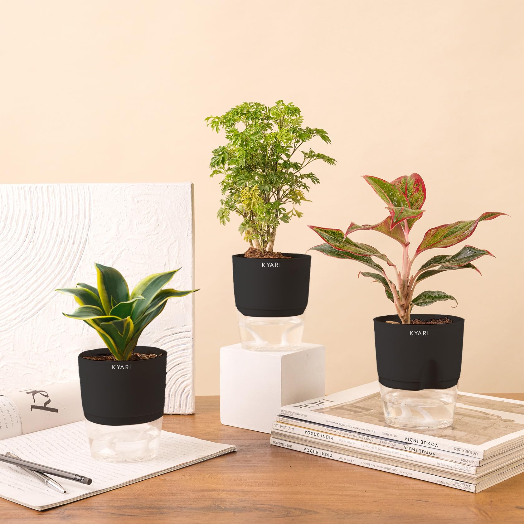 KYARI Golden Snake-Aglaonema Lipstick-Aralia Green Combo of 3 Indoor Plants for Living Room | Live Plants | Plants with Black Pot for Home Air purifier plants | Plants for Home Decor & Garden (B0CHYW46NN) Amazon Price History, Amazon Price Tracker