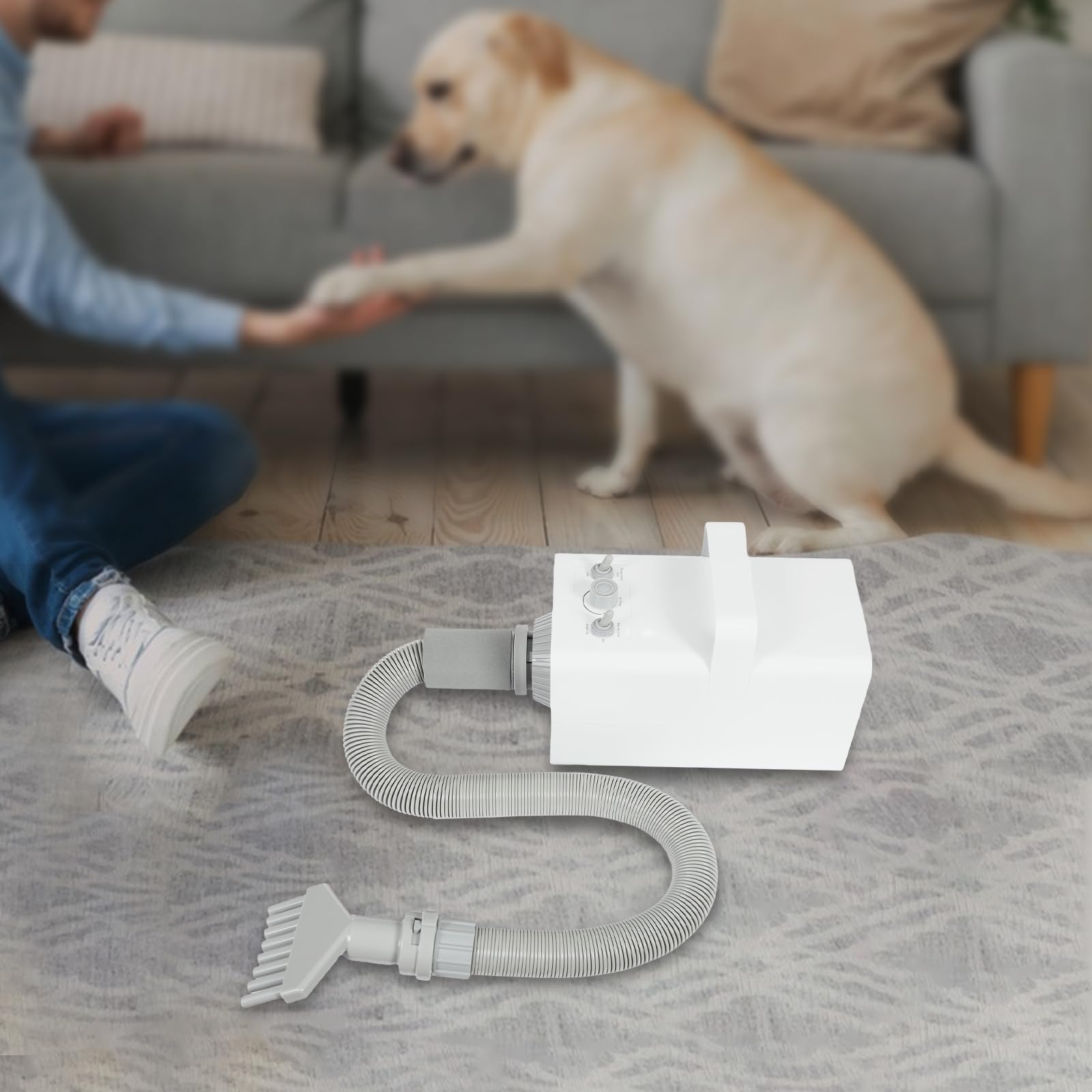 Asciugacapelli per cani e animali domestici, 2800 W, regolazione