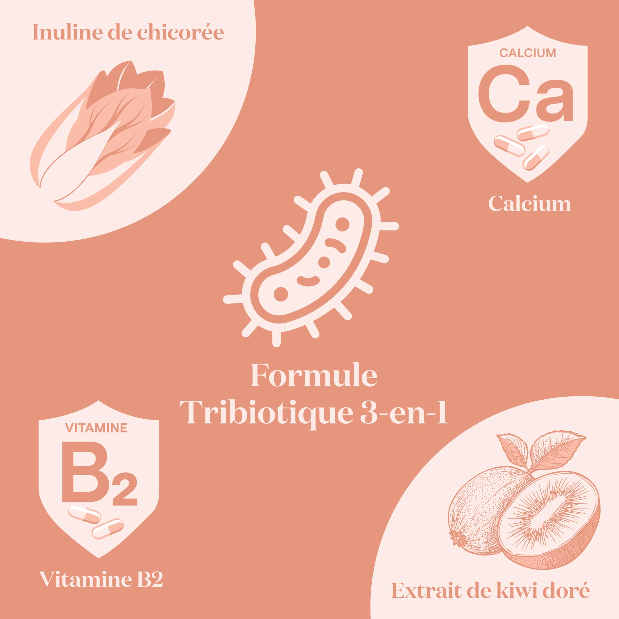 Glow25® Duo Balance & Collagène en poudre [Notre produit original] – Balance avec ferments lactiques, inuline, calcium & vitamine B2 + Hydrolysat de collagène avec vit