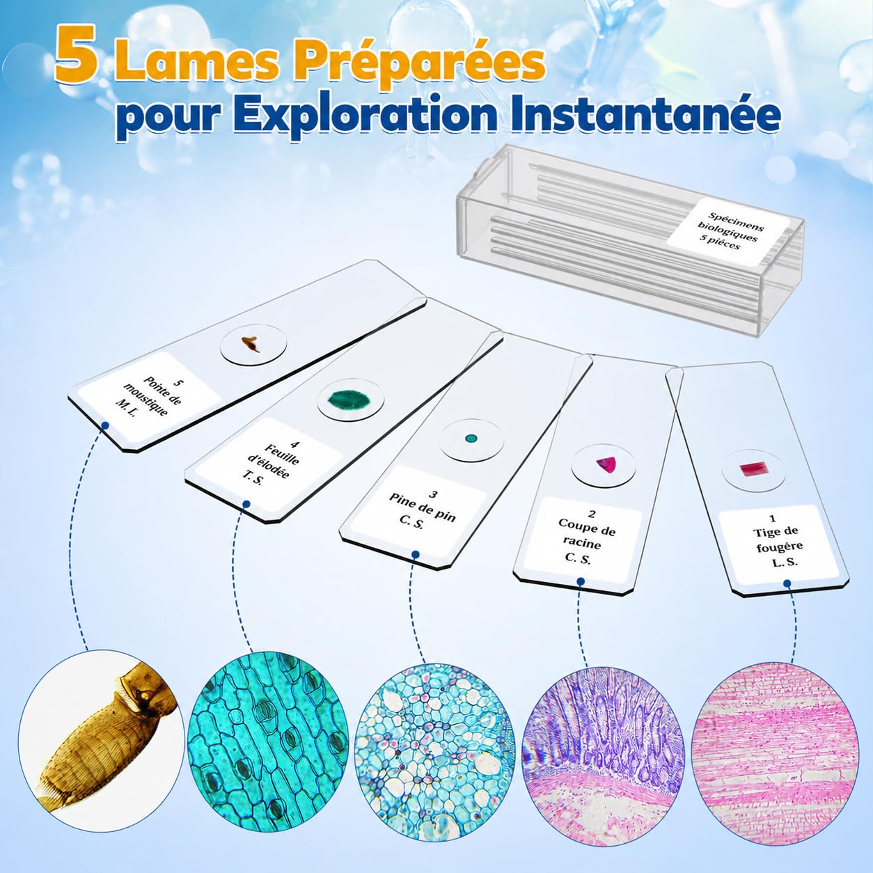 Microscope Compose 40X-2000X Enfant Adulte Biologique STEM Cadeau