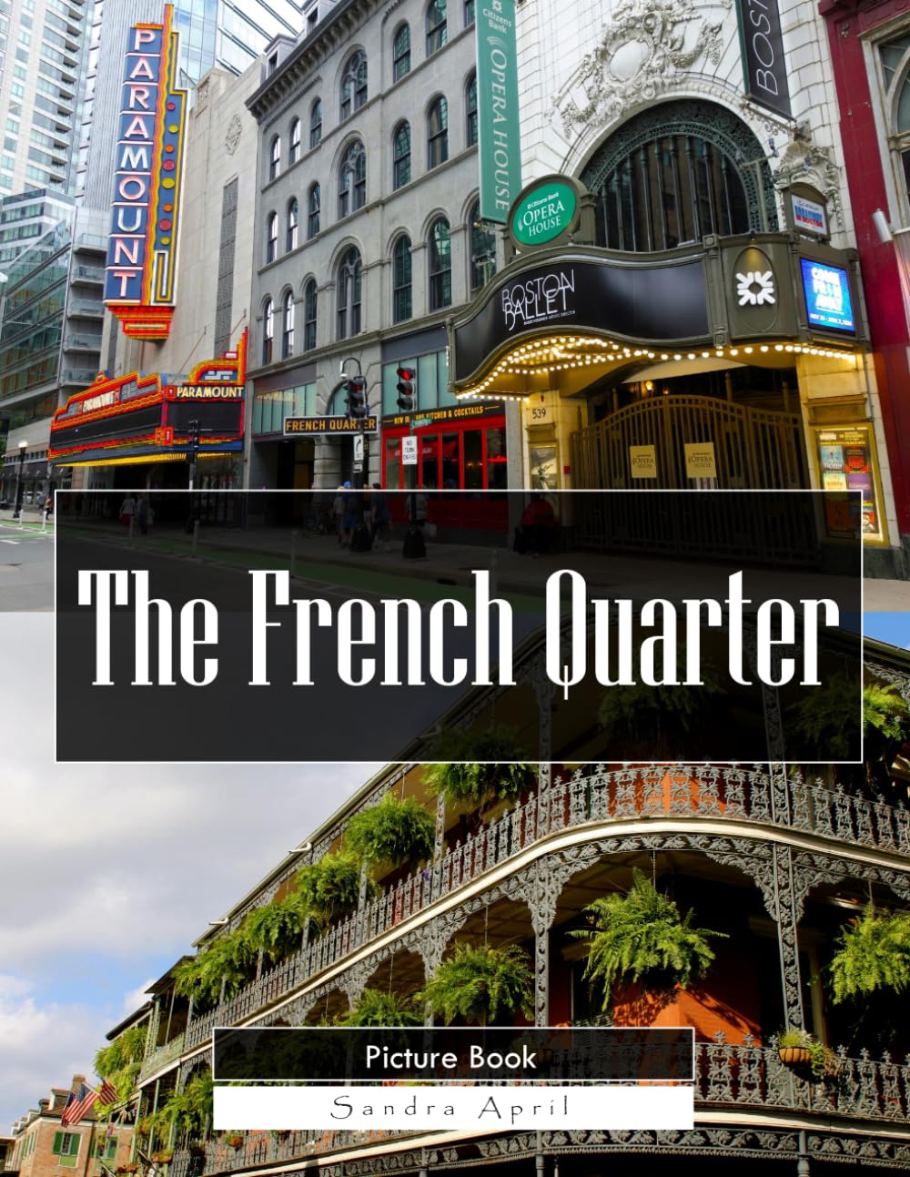 The French Quarter: A Stunning Coffee Table Picture Book – For Travelers & Culture Lovers