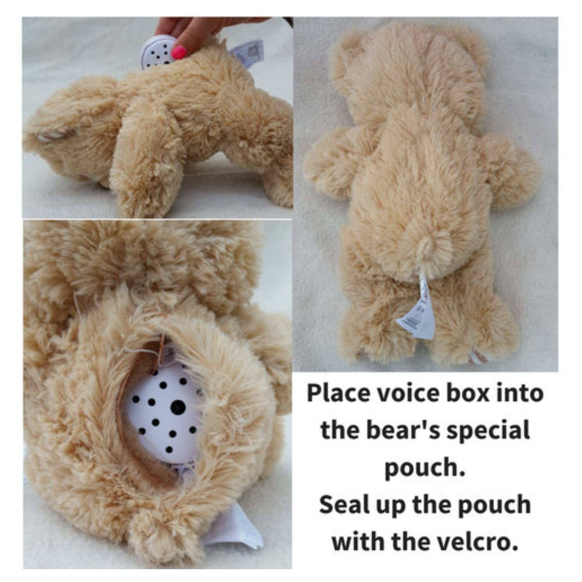 Little Grey Tabby Cat, Voice Recording Teddy Bear, Length 25cm, Record a 60 second personal message and send in a bear - Image 3