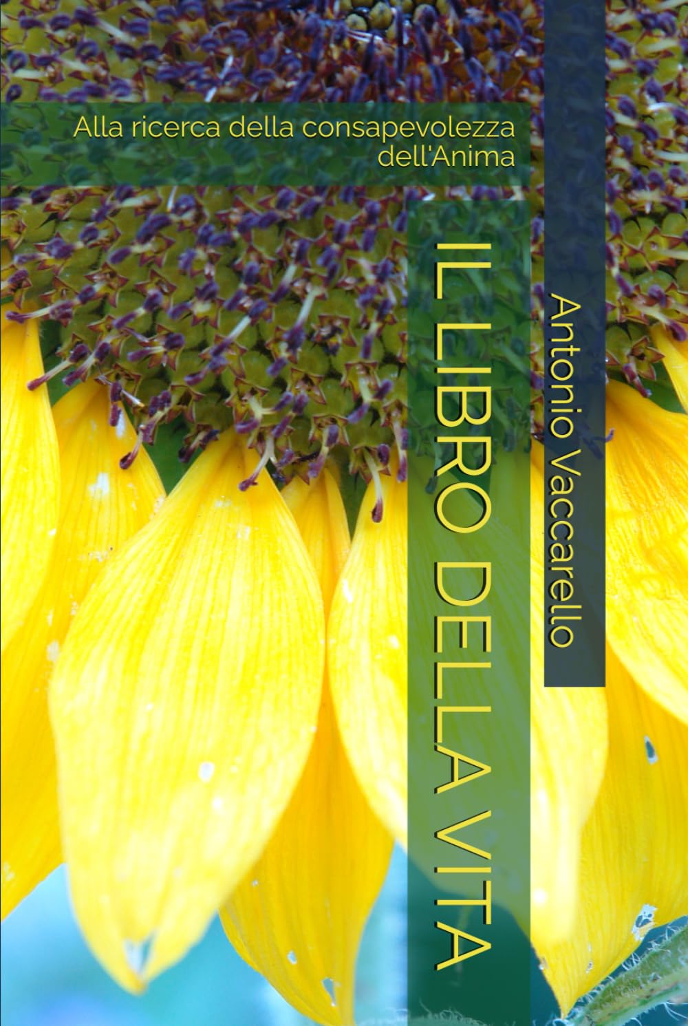 IL LIBRO DELLA VITA: Alla ricerca della consapevolezza dell'Anima (Cammino di Consapevolezza)